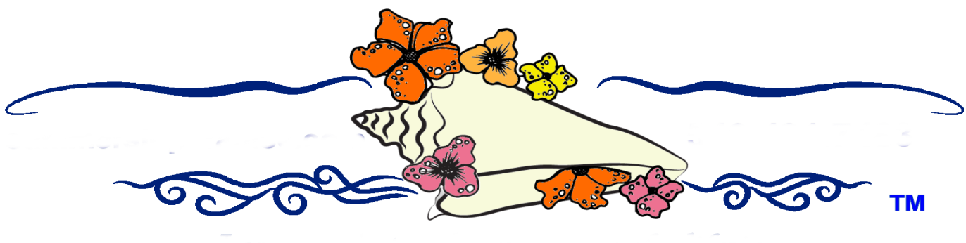 Summers in Paradise LLC Logo
